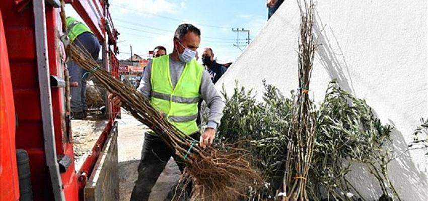 2021 yılının ilk fidanları üreticiyle buluştu