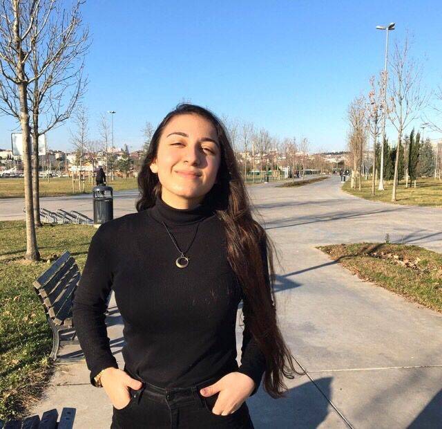 SİYASİ ERKLERİN BAŞARILARI İLE MEDYA KULLANIMI ARASINDAKİ İLİŞKİNİN ANALİZİ