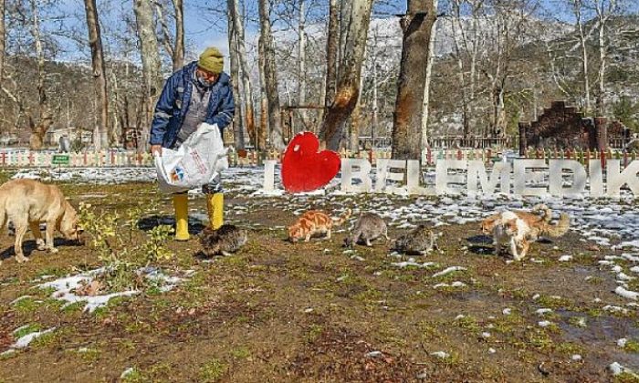 Adana’da Karla Mücadele Ediyor, Sokak Canlılarını Besliyor