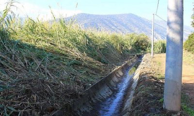 Antalya Büyükşehir Belediyesi sulama kanallarını temizliyor