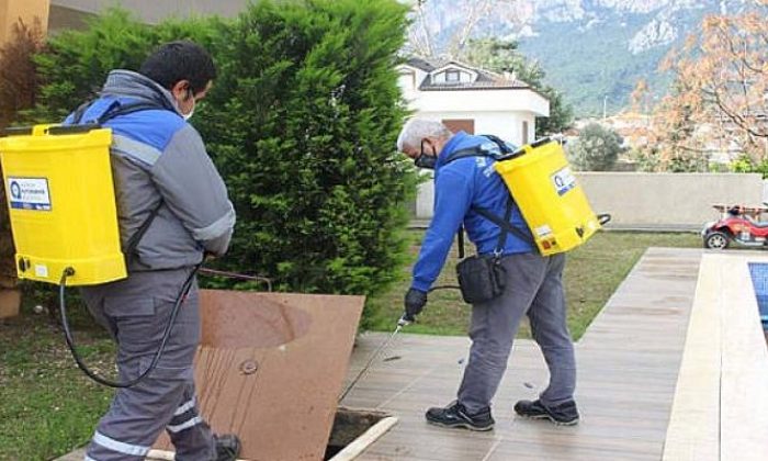 Antalya’da sinekle mücadeleye devam
