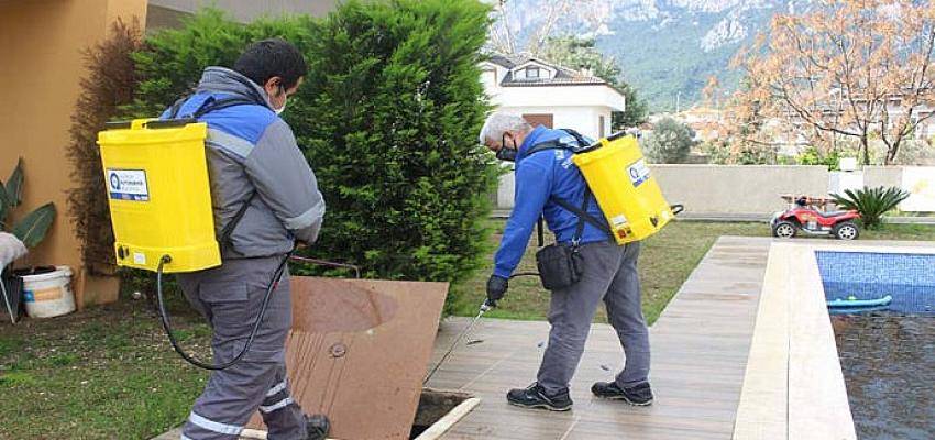 Antalya’da sinekle mücadeleye devam