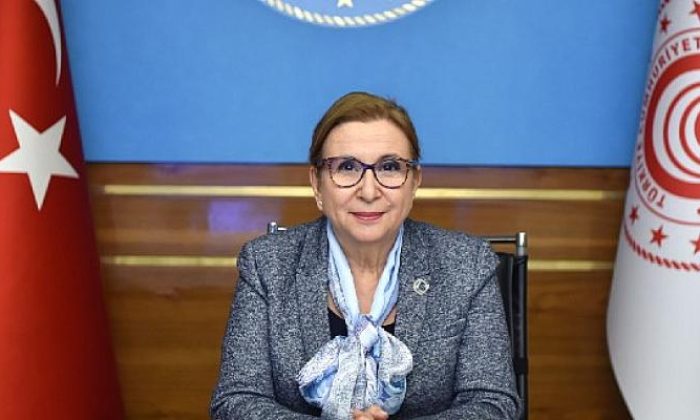 Bakan Pekcan: “Her fırsatta stratejik hedefimizin Avrupa Birliği’ne tam üyelik olduğunun altını çiziyoruz. AB ile ilişkilerimize bu anlayış içinde yaklaşıyoruz.”