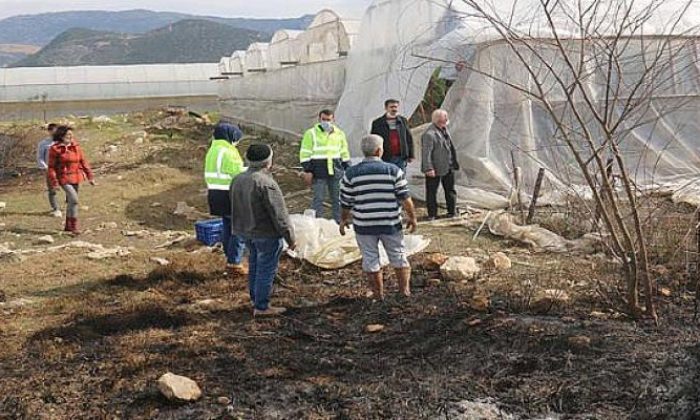 Büyükşehir’den Kaş’taki yangında serası zarar gören üreticiye destek