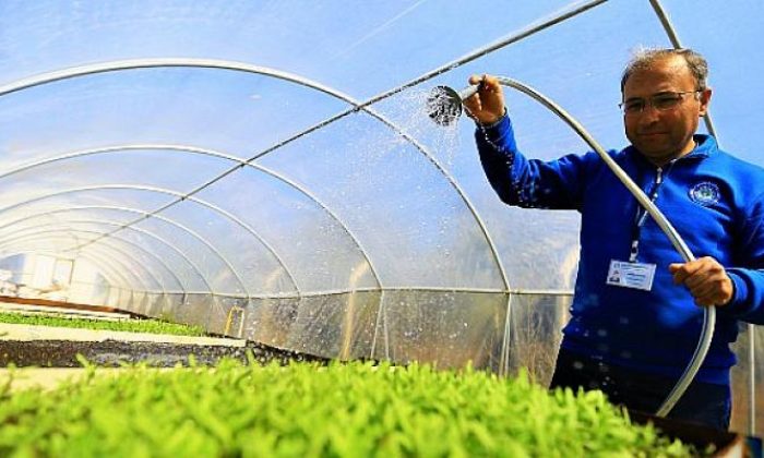 Yerel tohumlar 2023 yılı için toprakla buluşuyor