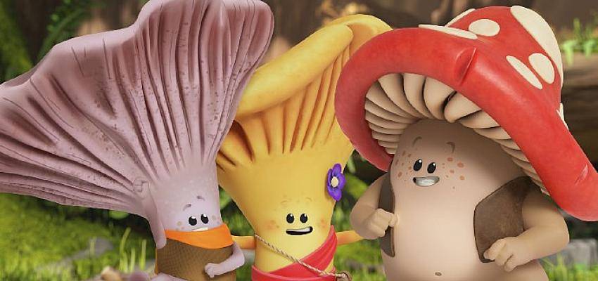 “Mush Mush ve Arkadaşları” Boomerang TV’de başlıyor