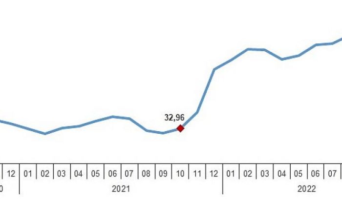 TÜİK: Yurt Dışı Üretici Fiyat Endeksi (YD-ÜFE) yıllık yüzde 103,79, aylık yüzde 1,34 arttı