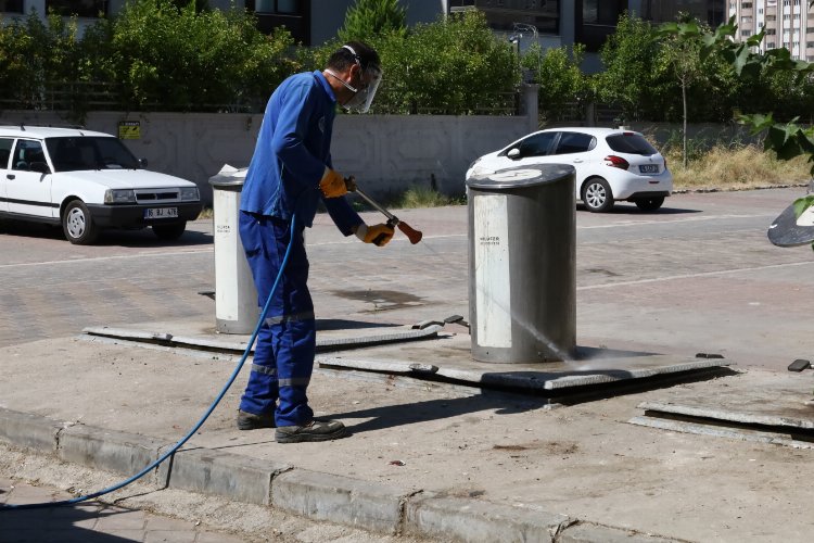 Bursa’nın sinekle gayreti laboratuvara taşındı
