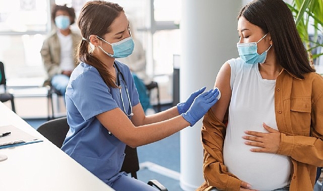 Hamilelik Devrinde Hangi Aşı Ne Vakit Yapılmalı?