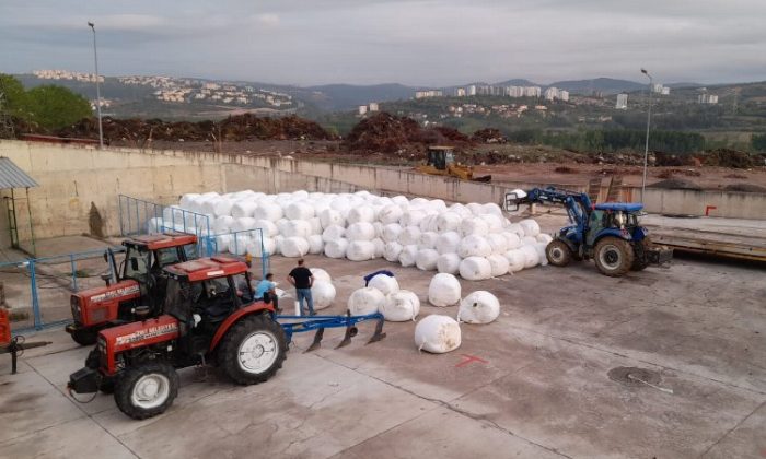 İzmit Belediyesi, ürettiği silajları üreticilere fiyatsız dağıtacak