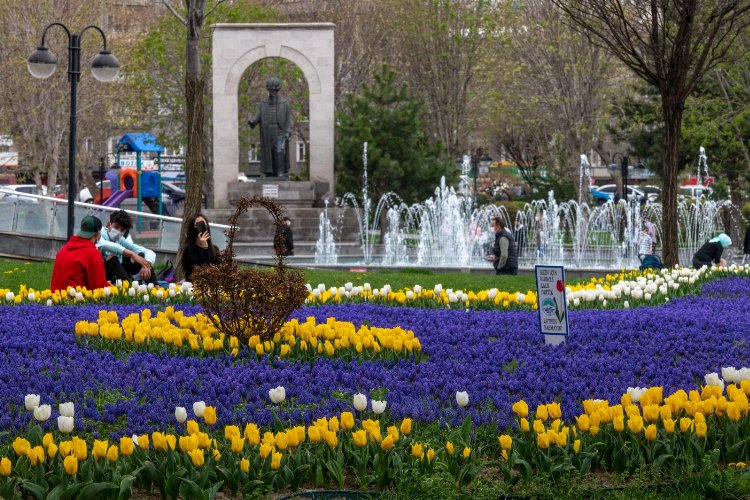 Kayseri Büyükşehir’den yeşil atılım