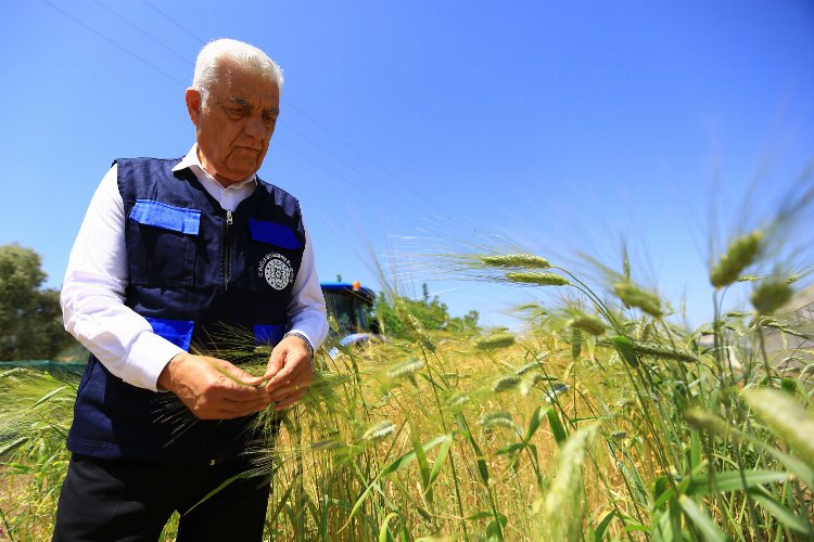 Muğla’da tarım ve hayvancılığa büyük destek
