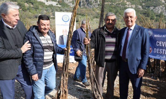 Muğla’dan ziraî takviyelerin dağıtımına başlıyor