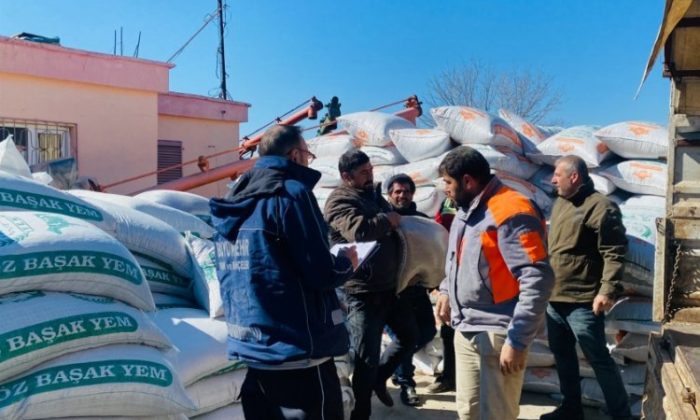 Afet bölgesindeki üreticilere yem takviyesi