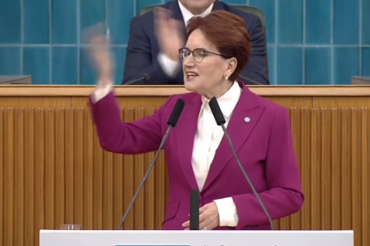 CHP’liler Meral Akşener’i kargaya benzetti: “Besle oysun gözünü”
