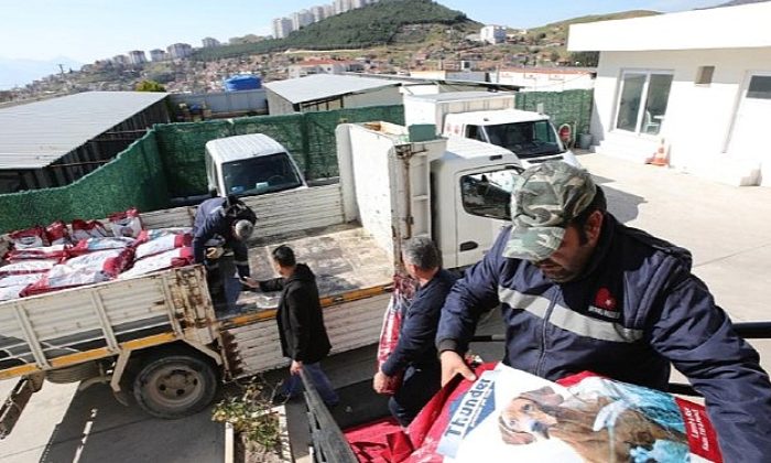 Bayraklı’dan zelzele mağduru can dostlara mama dayanağı