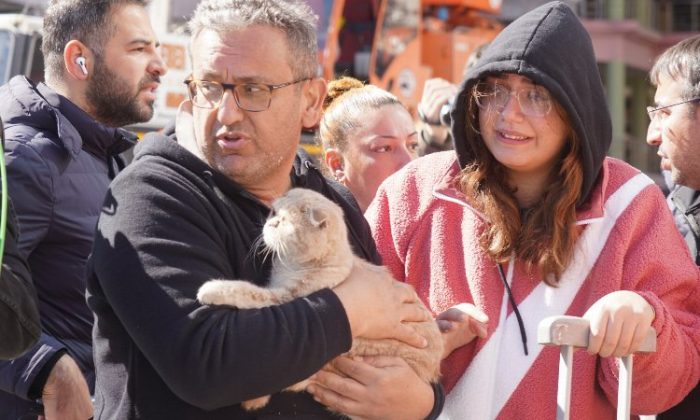 Diyarbakır’da son kedi de kurtarıldı!