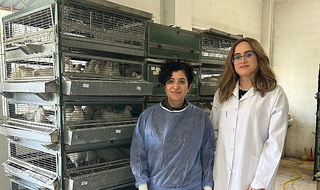 Ege’de “Tavuk koronavirüs aşılarında yerli ve ulusal adjuvan geliştirilecek”