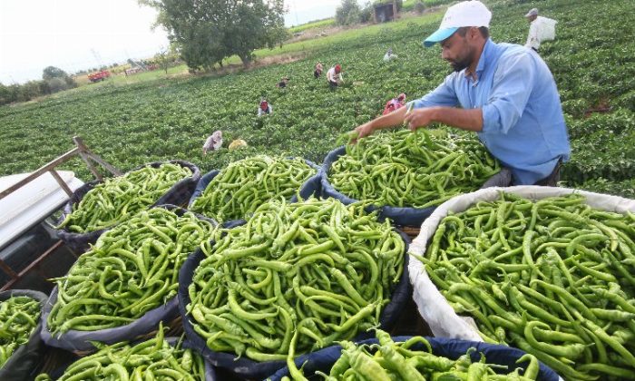 HAGEL Encümeni Bursa Yenişehir’de toplandı