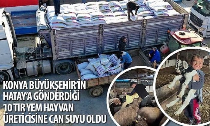 Konya Büyükşehir’in Hatay’a Gönderdiği 10 Tır Yem Hayvan Üreticisine Can Suyu Oldu