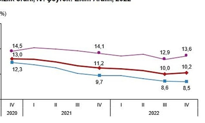 Mevsim tesirinden arındırılmış işsizlik oranı %10,2 düzeyinde gerçekleşti