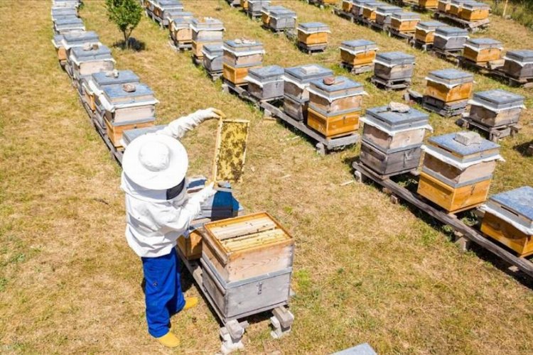 Bursa İnegöl Belediyesi’nden 250 adet ‘arı kovanı’ desteği