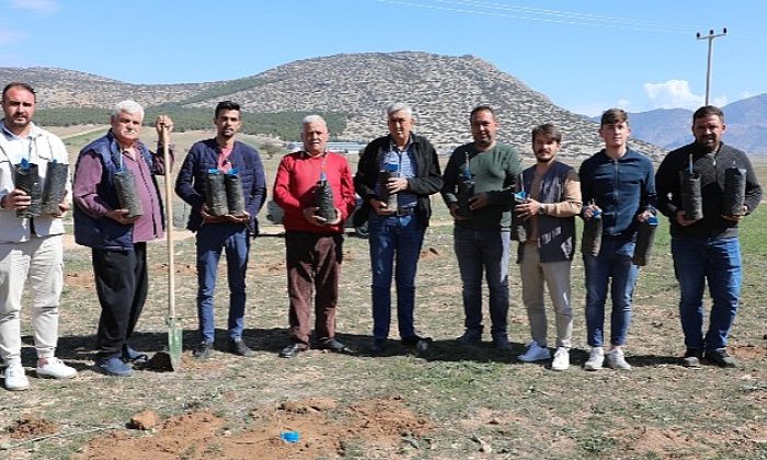 Korkuteli’de antepfıstığı yetiştiriciliği yapılacak