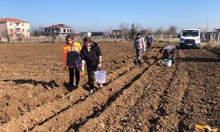 Lüleburgaz’da tarladan sofraya iyilik!
