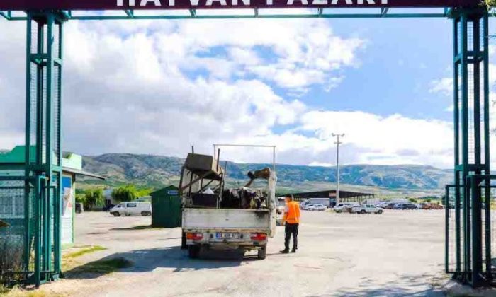 Şap, bir ilde daha hayvan pazarını kapattı
