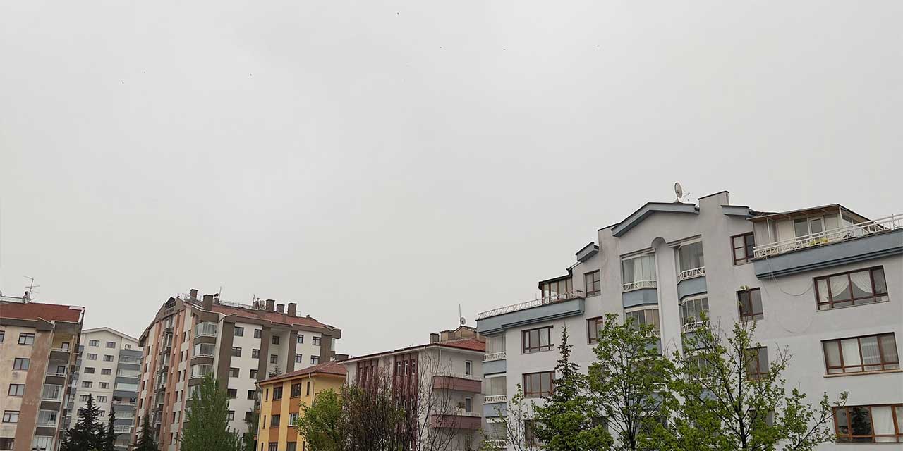 hava.jpg