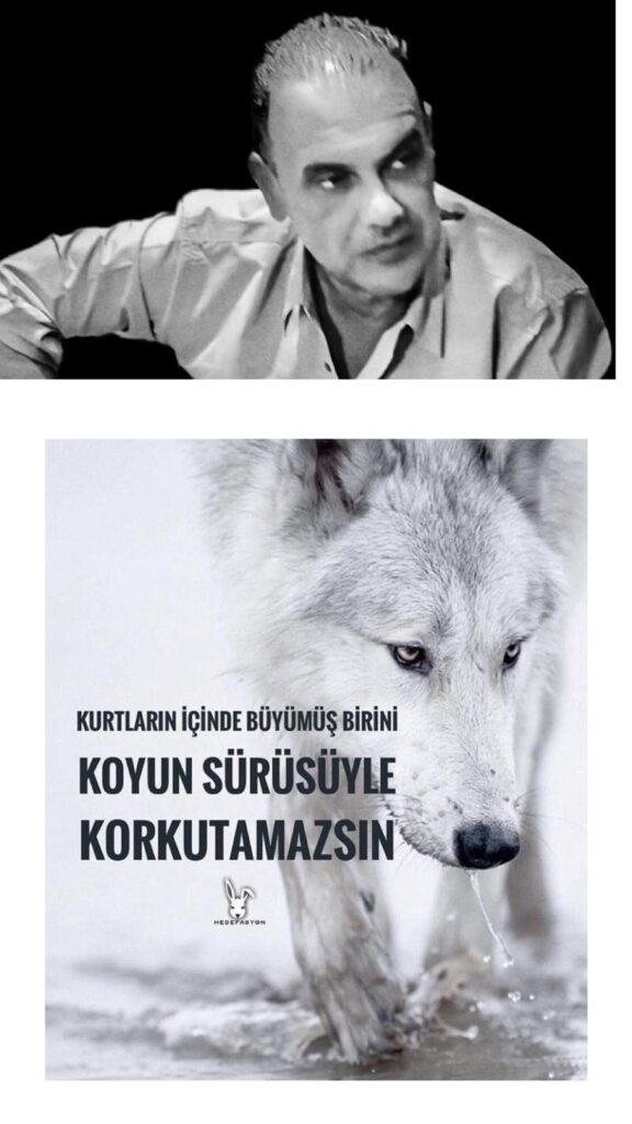 WhatsApp Gorsel 2024 09 01 saat 15.27.15 f03930cf
