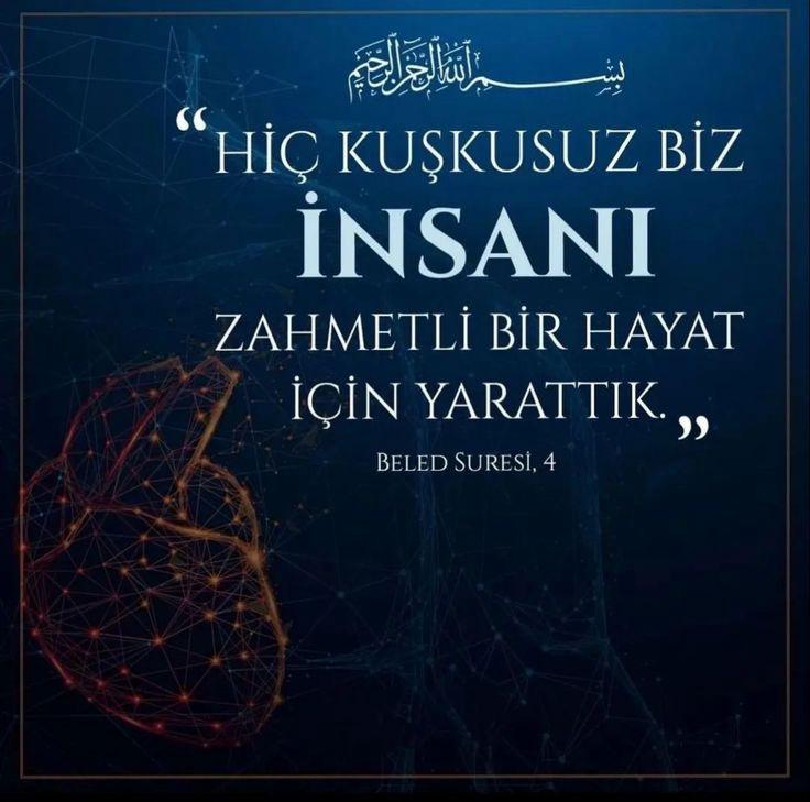 WhatsApp Gorsel 2024 09 06 saat 01.39.58 16261831
