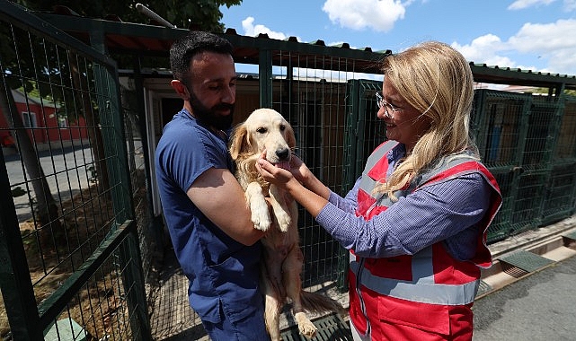 Bakırköy Belediyesi Veteriner İşleri Müdürlüğü Hayvanların Yanında